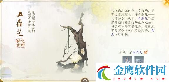 射雕趙王府夢華錄收集攻略