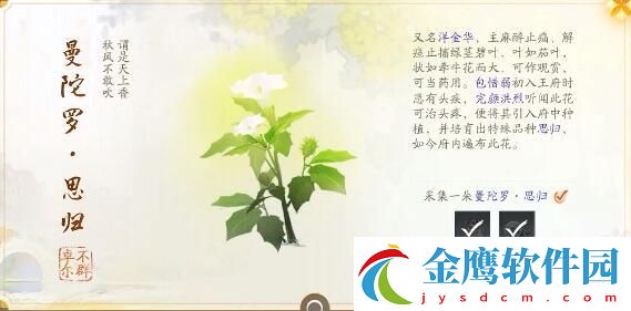 射雕趙王府夢華錄收集攻略