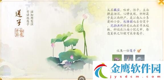 射雕趙王府夢華錄收集攻略