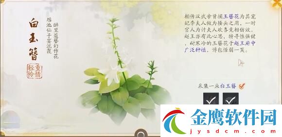 射雕趙王府夢華錄收集攻略