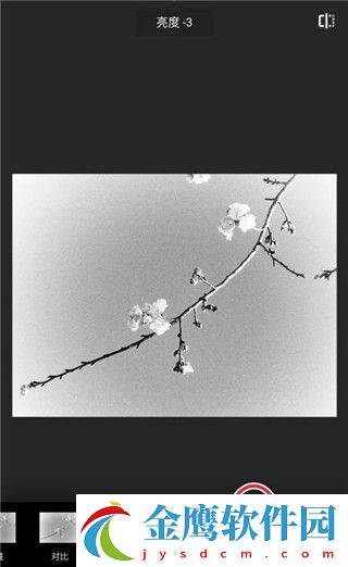 用Snapseed進行修圖5