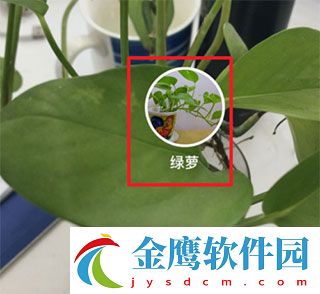 度娘app怎么識別圖片截圖3