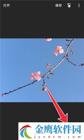 用Snapseed進行修圖2