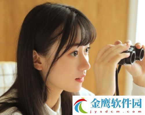 宿命回響弦上的嘆息陣容推薦