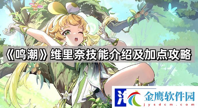 維里奈技能介紹及加點攻略
